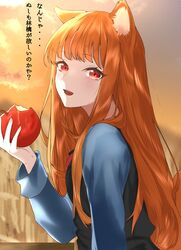 holo from spice and wolf
