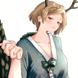 kicchou yachie from touhou