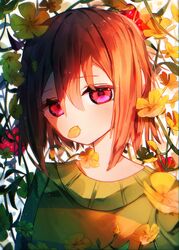 chara (undertale) from undertale