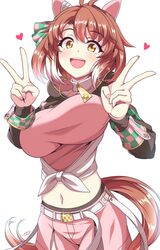 dantsu flame (umamusume) from umamusume by sayossa (pak-front)