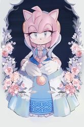 amy rose from sonic (series)