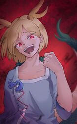 kicchou yachie from touhou by garasuno