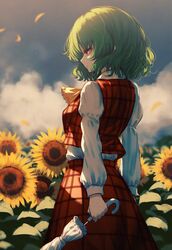 kazami yuuka from touhou