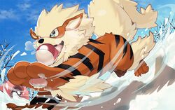 arcanine from pokemon