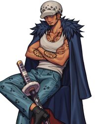 trafalgar law from one piece