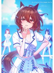 agnes tachyon (umamusume) from umamusume