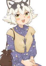 eastern wolf (kemono friends) from kemono friends