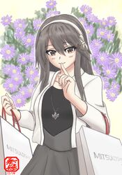 haruna (kancolle) from kantai collection