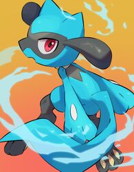 riolu from pokemon