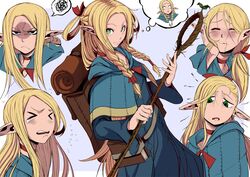 marcille donato from dungeon meshi
