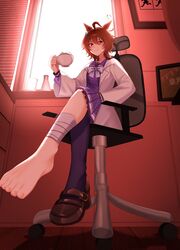 agnes tachyon (umamusume) from umamusume