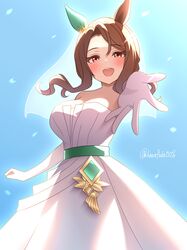 king halo (umamusume) from umamusume