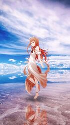 holo from spice and wolf