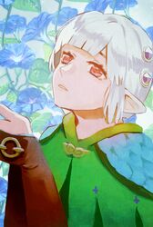 ena (monster hunter) from monster hunter (series)