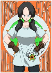 videl from dragon ball