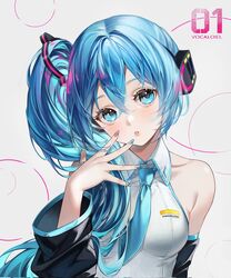 hatsune miku from vocaloid