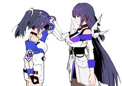 raiden mei from honkai (series)
