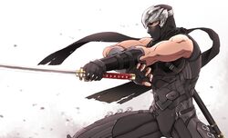 ryu hayabusa from dead or alive