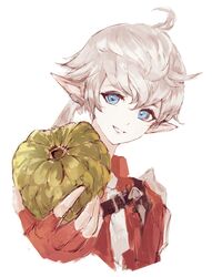 alisaie leveilleur from final fantasy