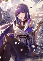 raiden mei from honkai (series)