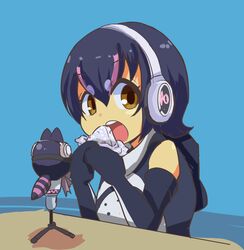 humboldt penguin (kemono friends) from kemono friends