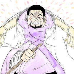 issho (fujitora) from one piece