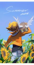 winged kuriboh from yu-gi-oh!