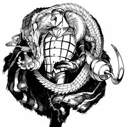 crocodile (one piece) from one piece