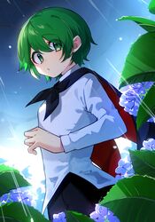 wriggle nightbug from touhou