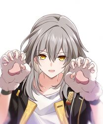 stelle (honkai: star rail) from honkai: star rail