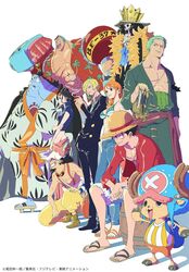 brook (one piece) from one piece