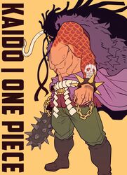 kaidou (one piece) from one piece