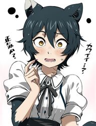 izutsumi from dungeon meshi