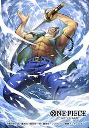 blenheim from one piece by tsutsui misa