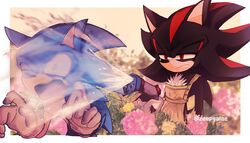 shadow the hedgehog from sonic (series)