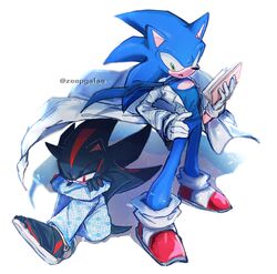 shadow the hedgehog from sonic (series)