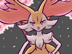 braixen from pokemon