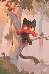 litten from pokemon