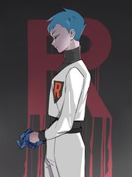 archer (pokemon) from pokemon
