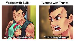 bra (dragon ball) from dragon ball by nortuet