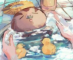 swinub from pokemon