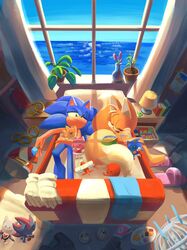 amy rose from sonic (series)