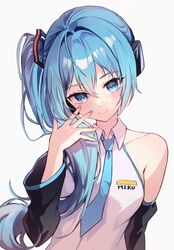 hatsune miku from vocaloid