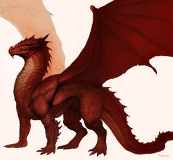 dungeons & dragons fan art