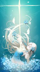 kamitsubaki studio fan art