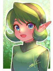 the legend of zelda fan art