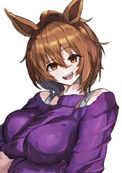 agnes tachyon (umamusume) from umamusume