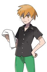 blue oak from pokemon