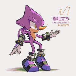espio the chameleon from sonic (series)