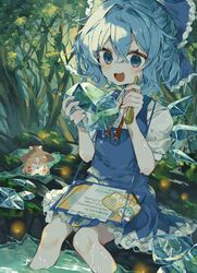 cirno from touhou